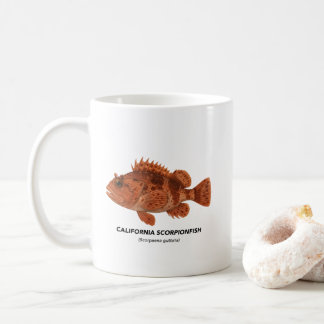 Mug Scorpionfish - Animaux marins de Californie