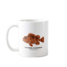 Scorpionfish - Animaux marins de Californie