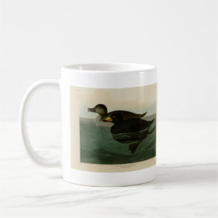 Mug Scoter Duck américain - Audubon's Birds of America