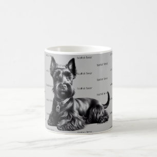 Mug Scottish Terrier à