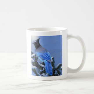 Mug Screech - Steller’s Jay