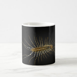 Mug Scutigera Coleoptrata de centipède de Chambre