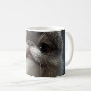 Mug se balader en faisant du charme