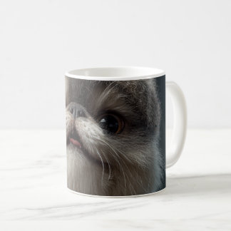 Mug se balader en faisant du charme