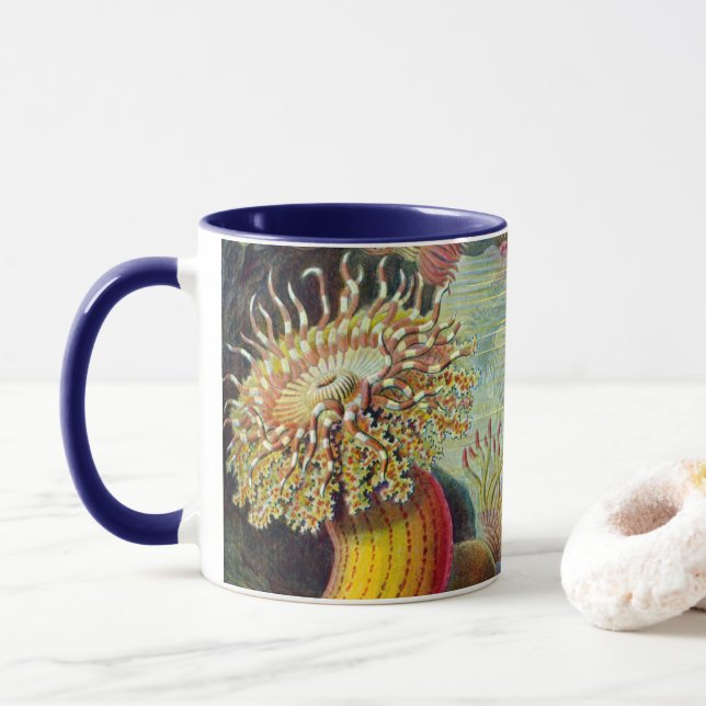 Mug Sea Anemones, Vintage Actiniae by Ernst Haeckel (Avec donut)