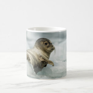 Mug Seal bébé doux