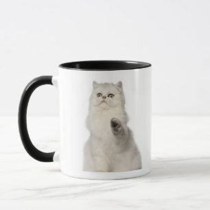 Mug Séance de chat persan