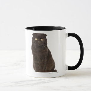 Mug Séance de pli d'écossais (18 mois)