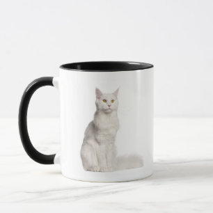 Mug Séance de ragondin du Maine (8 mois)
