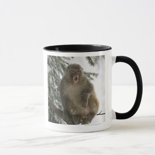 Mug Séance de singe de Macaque de rhésus (mulatta de (Droite)