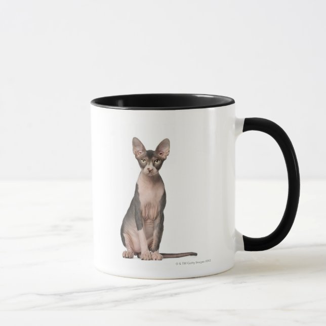Mug Séance de Sphynx (7 mois) (Droite)