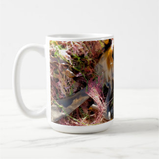 MUG SEAWEED