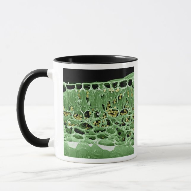 Mug Section transversale de feuille (Gauche)