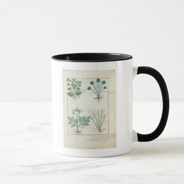 Mug Sel Bush et absinthe et cardamome d'Anthora (Droite)