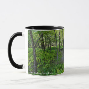 Mug sentier à travers la forêt du parc d'État de Fort 