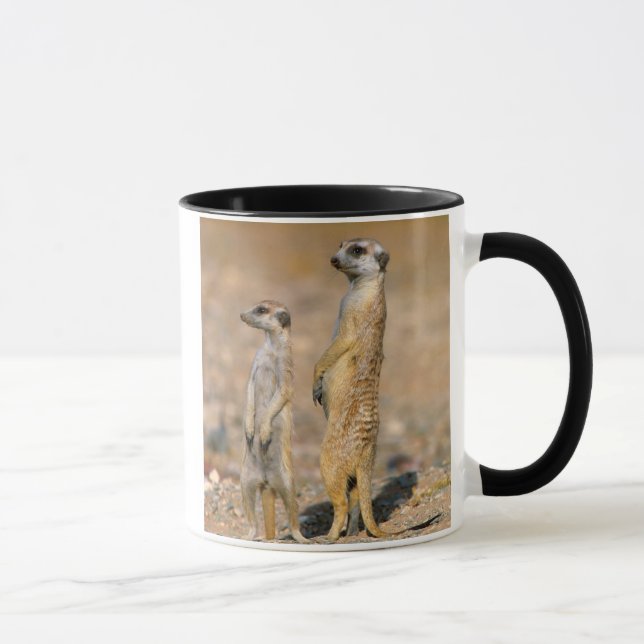 Mug Sentinelles de suricate (Suricata suricatta), Kara (Droite)