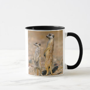 Mug Sentinelles Meerkat (Suricata Suricatta), Karas