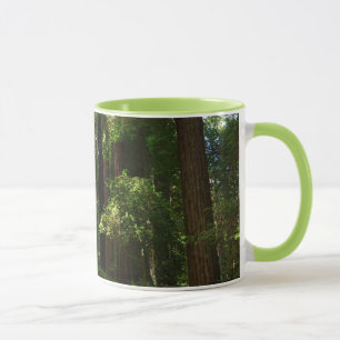 Mug Séquoias et fougères au parc national de Redwood
