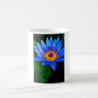 Mug Sérénité