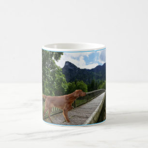 Mug setter irlandais