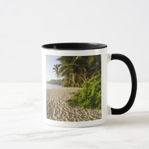 Mug Seychelles, île de Mahe, Anse Marie-Louise