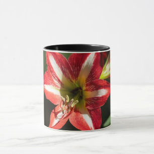 Mug Shards of Red: Hibiscus at the Summit of Phongsaly