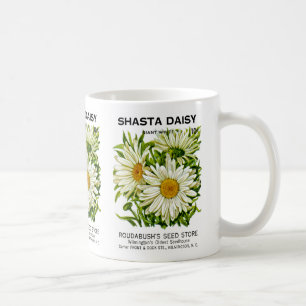 Mug Shasta Daisy Vintage semis