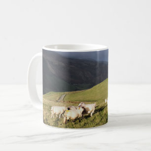 MUG SHEEP
