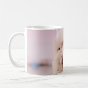 MUG SHEEP BLANC EN FERMETURE PHOTOGRAPHIE