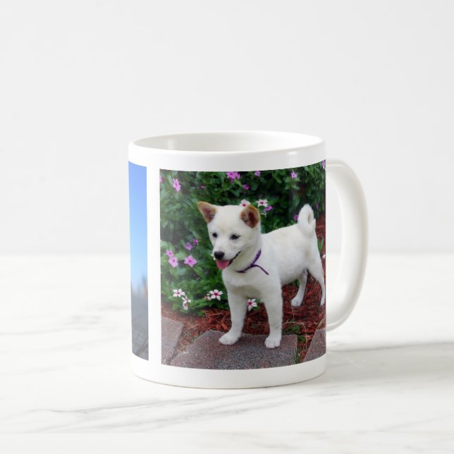 Mug Shiba-inu Maru (Devant droit)