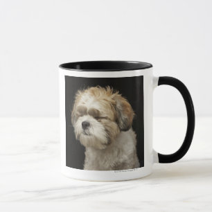 Mug Shih Brown et blanc Tzu avec des yeux s'est fermé