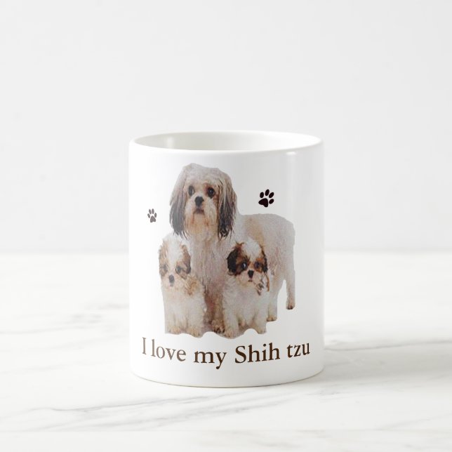 Mug Shih-tsu (Centre)
