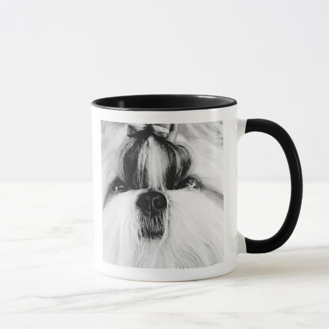 Mug Shih Tzu (Droite)
