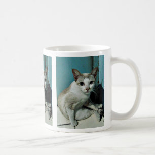 Mug Siamese Chat Friend