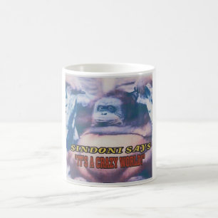 Mug Sindoni dit que c'est un monde fou