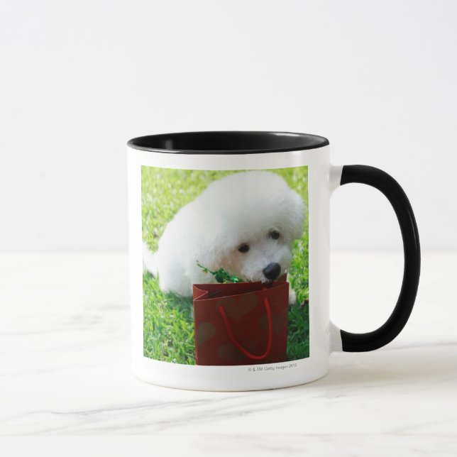 Mug Singapour 7 (Droite)