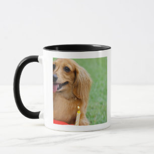 Mug Singapour 8