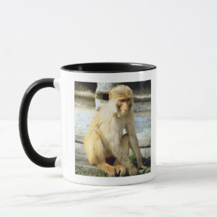 Mug Singe