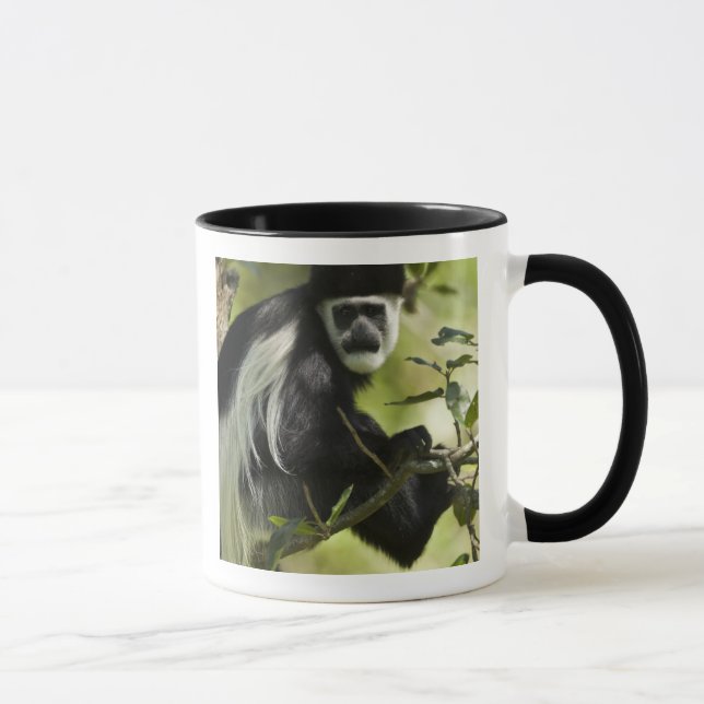 Mug Singe colobre noir et blanc (Droite)