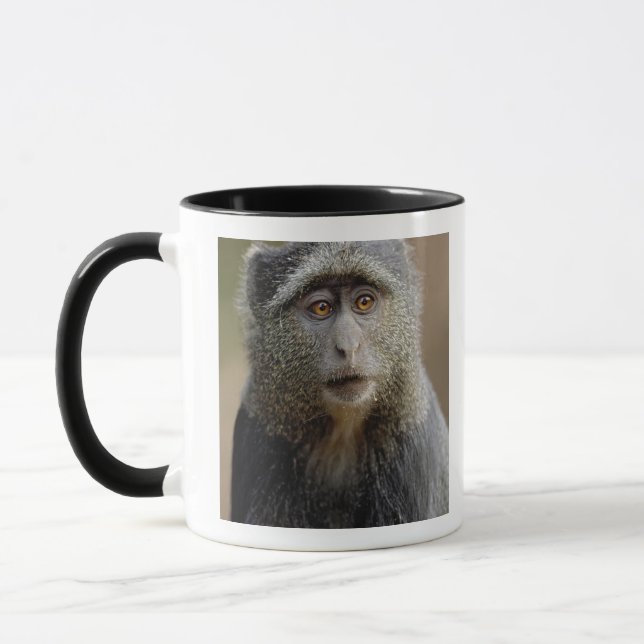 Mug Singe de Sykes ou Cercopithèque à diadème, Cercopi (Gauche)