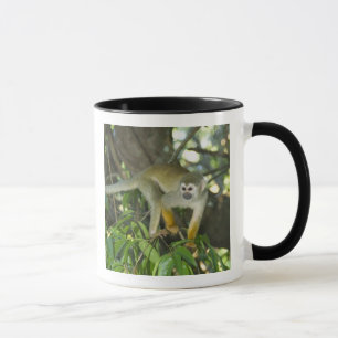Mug Singe écureuil commun, (Saimiri sciureus), Rio