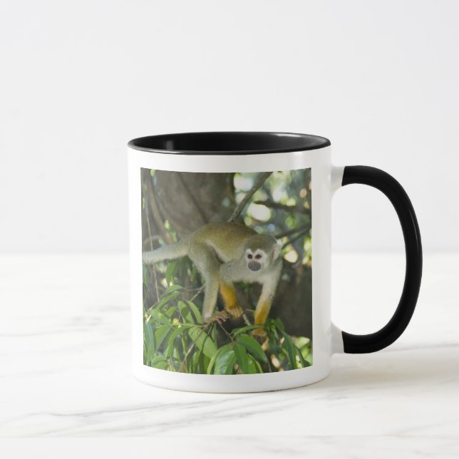 Mug Singe écureuil commun, (Saimiri sciureus), Rio (Droite)