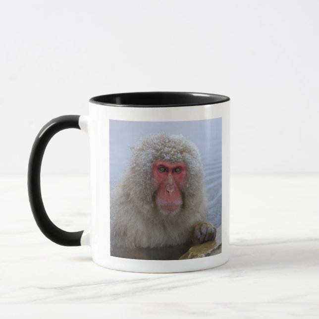 Mug Singe japonais de neige dans le hotspring (Gauche)