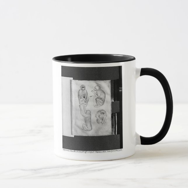 Mug Singes, de l'album de Vallardi (Droite)