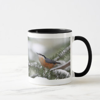 Mug Sittelle sur la branche de Milou en hiver