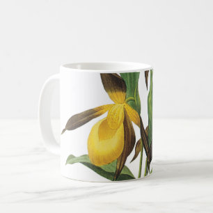 Mug slipper de dame (Cypripedium sp.) par Redouté