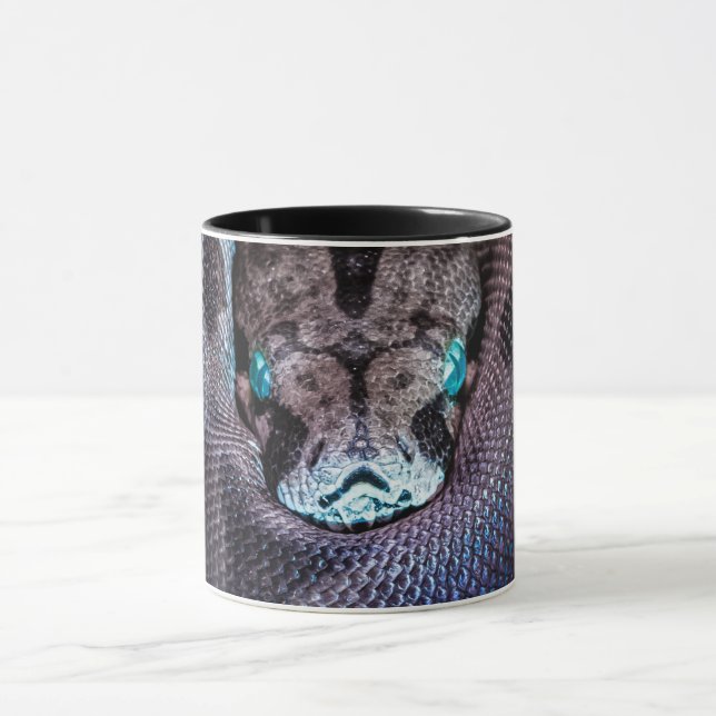 Mug Snake boa anaconda python reptile serpent (Centre)