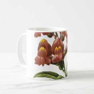 Mug snapdragon(Antirrhinum sp.) par Redouté