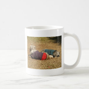 Mug Snoozing à Nong Khai