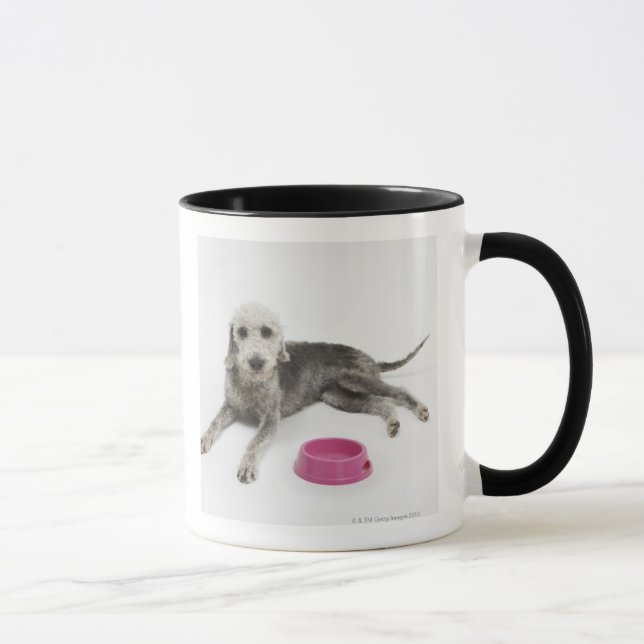 Mug Soin des animaux familiers, santé et nutrition (Droite)